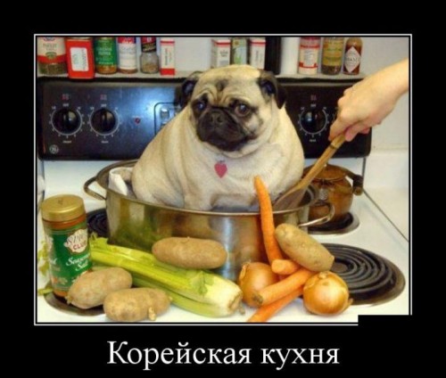 f0d67f.jpg