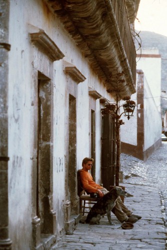 sm_885278.jpg