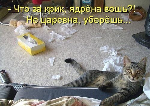 ypEsILYaCAA.jpg