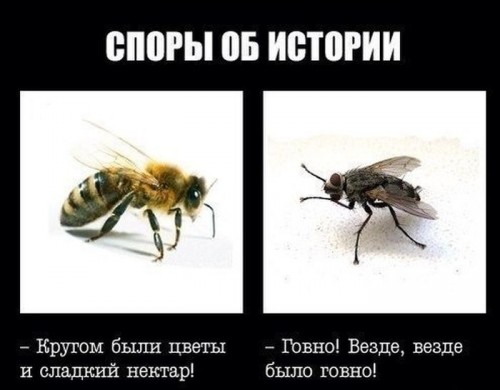 8f7dea.jpg