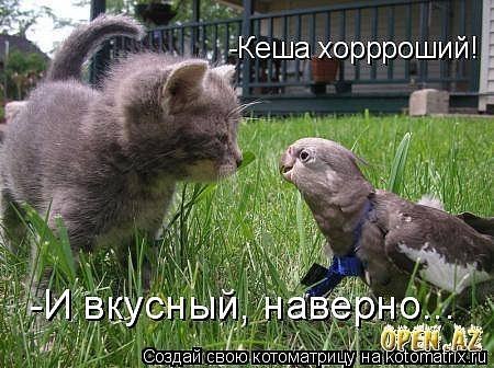 xLvmSdcdMSQ.jpg