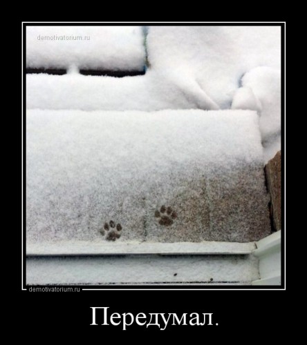 dm_temp_image_31910141516506013812.jpg