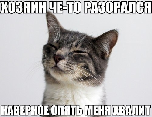 a4rCnntml00.jpg