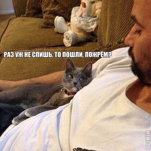 qMpYSjRnHjo.jpg