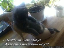 430493b8d63460903665bf3fa30d9cf4_m1.jpg