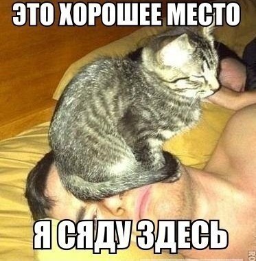FXlCK7T2sqQ.jpg