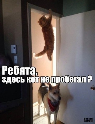 IP-G_OIy8_Y.jpg