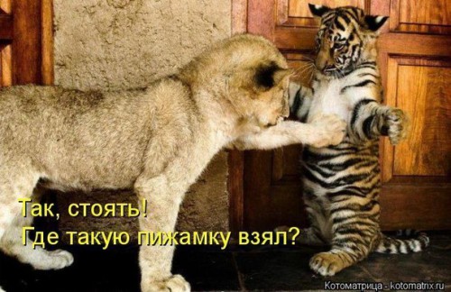 KrVt-wSOFrU.jpg