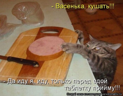 391d34.jpg