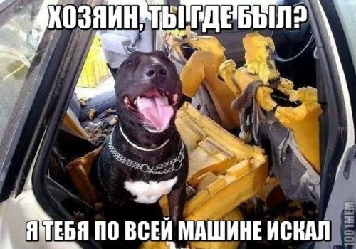 04525e.jpg