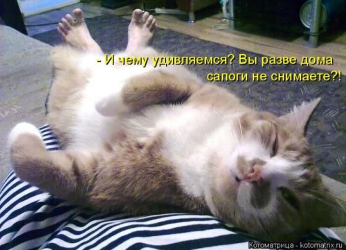 cebe96.jpg