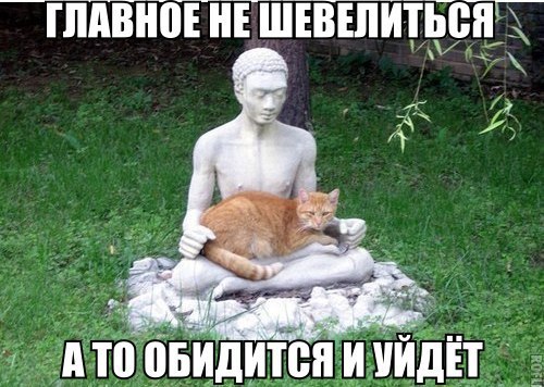 xAbUKCidulk.jpg
