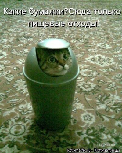 kxDUYpsloVw.jpg