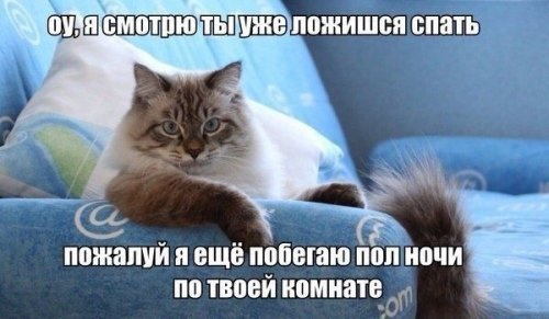 285577.jpg