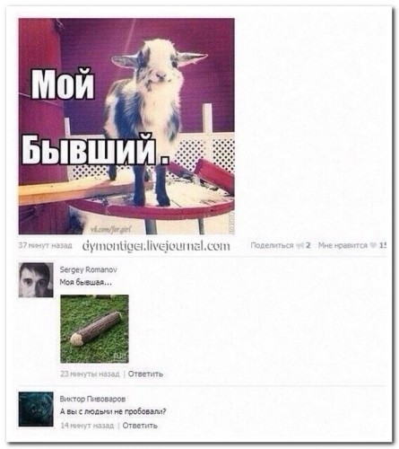 abfa2f.jpg