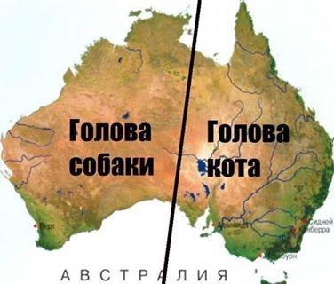 1452051_684387161585277_2045665943_n.jpg
