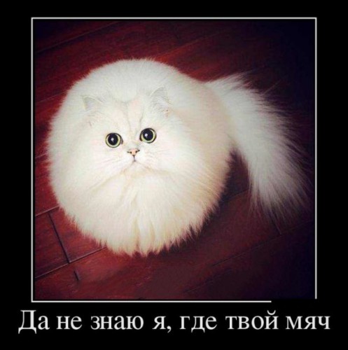 2a3623.jpg