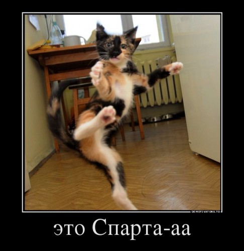 488361_eto-sparta-aa_demotivators_to.jpg