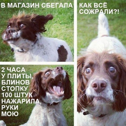 795acf58f1314c838ef4391de2daac59_b.jpg