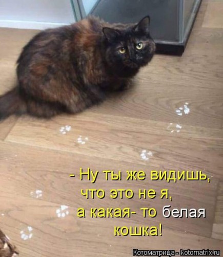 2dee4c.jpg