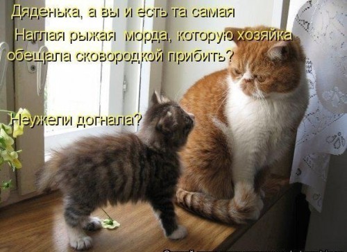 x_28b2c7a4.jpg