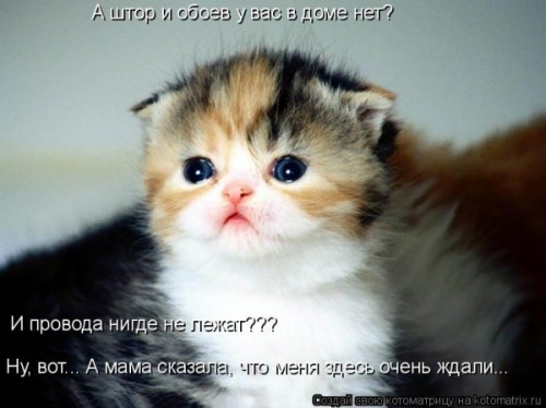 101403_600.jpg