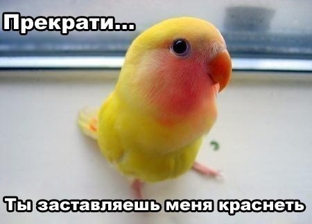 x_66e08708.jpg