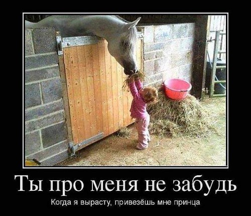 1440101086_zhivotnye2.jpg
