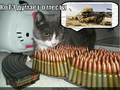 kote-dumayet-o-mesti_1319000112.jpg