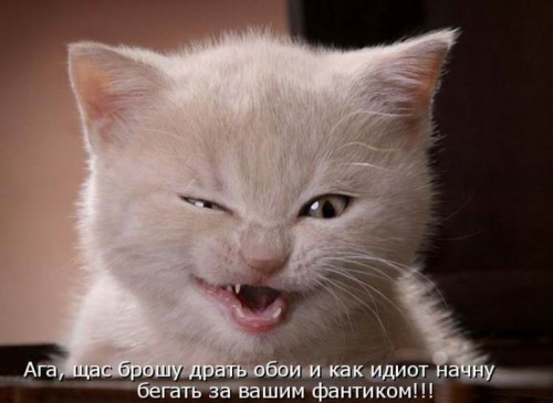 50.jpg