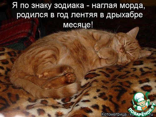 137440_77167nothumb500.jpg