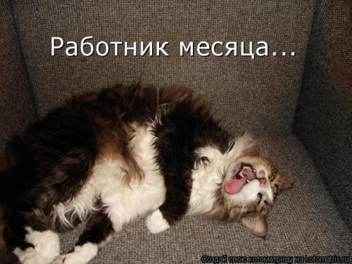 394a374327c3.jpg