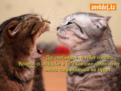 da-lyubimyy-ya-tebya-ponyala-vopros-o-svadbe-v-blizhayshie-10-let-mnoyu-podymatsya-ne-budet.jpg