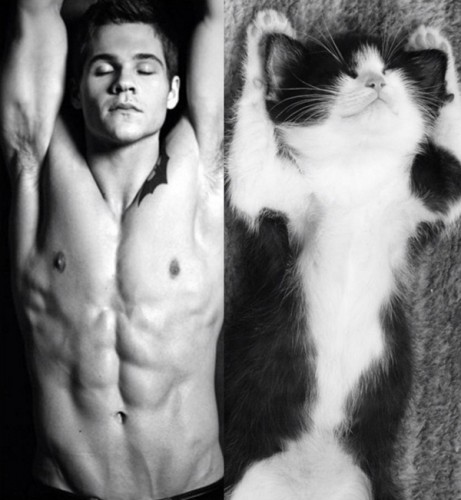 man-cat-12.jpg