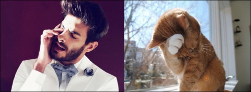 men-vs-cats-002.jpg