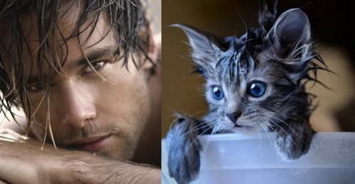1384503539_des-hommes-et-des-chatons-1.jpg