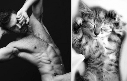 des-hommes-et-des-chatons-men-and-cats-2-23.jpg