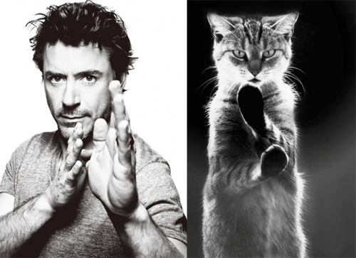 Мужчины-vs-Коты-2.png