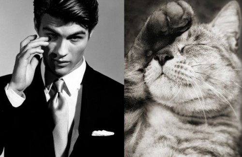 man-cat-3.jpg