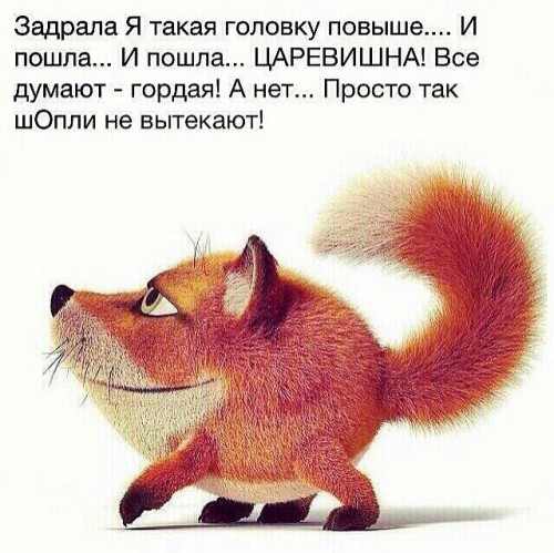 84159df19f08.jpg