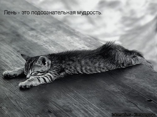 1264486448s.jpg