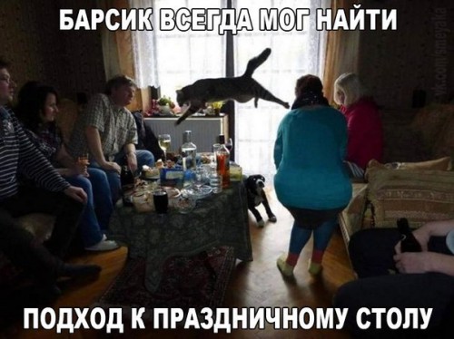 yXONn770BAs (1).jpg