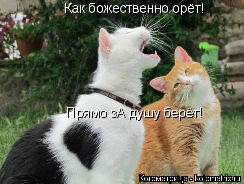 vWIXCDXEHaA.jpg