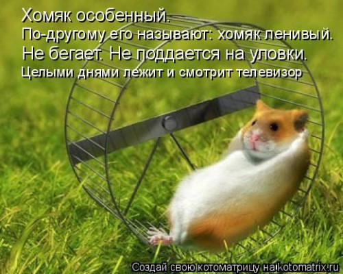 650750.jpg