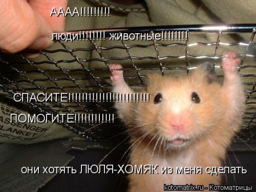 _g.jpg
