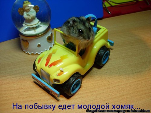 607102.jpg