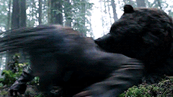 04.gif