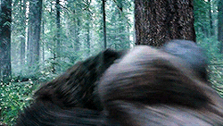 03.gif