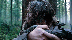 02.gif