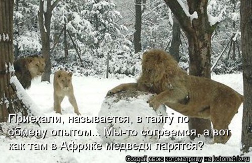 356519.jpg